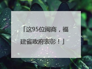 这95位闽商，福建省政府表彰！