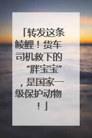 转发这条鲮鲤！货车司机救下的“胖宝宝”，是国家一级保护动物！