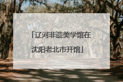 辽河非遗美学馆在沈阳老北市开馆