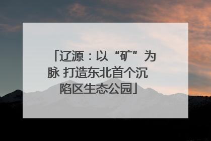 辽源：以“矿”为脉 打造东北首个沉陷区生态公园