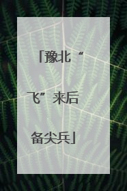 豫北“飞”来后备尖兵