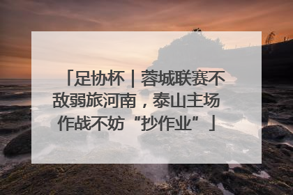 足协杯｜蓉城联赛不敌弱旅河南，泰山主场作战不妨“抄作业”