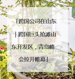 跨国公司在山东｜跨国巨头抢滩山东开发区，青岛峰会拉开帷幕