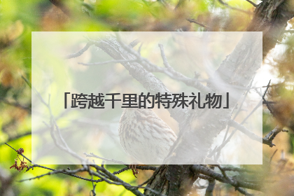 跨越千里的特殊礼物