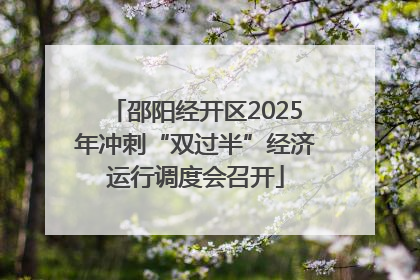 邵阳经开区2025年冲刺“双过半”经济运行调度会召开