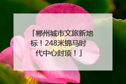 郴州城市文旅新地标！248米锦马时代中心封顶！