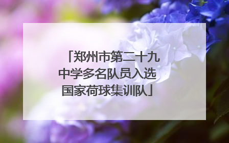 郑州市第二十九中学多名队员入选国家荷球集训队