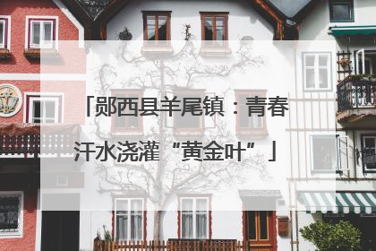 郧西县羊尾镇：青春汗水浇灌“黄金叶”