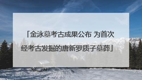金泳墓考古成果公布 为首次经考古发掘的唐新罗质子墓葬