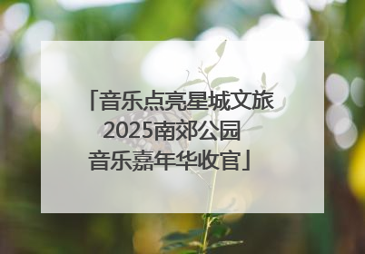 音乐点亮星城文旅 2025南郊公园音乐嘉年华收官