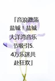 音浪激荡盐城！盐城大洋湾音乐节吸引5.4万乐迷共赴狂欢