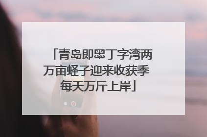 青岛即墨丁字湾两万亩蛏子迎来收获季 每天万斤上岸
