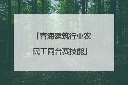 青海建筑行业农民工同台赛技能