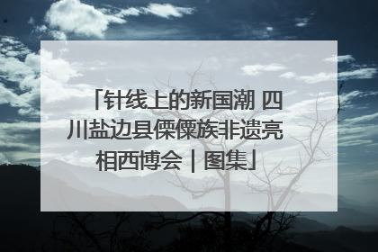 针线上的新国潮 四川盐边县傈僳族非遗亮相西博会｜图集