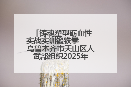 铸魂塑型砺血性 实战实训锻铁拳——乌鲁木齐市天山区人武部组织2025年度民兵集中轮训