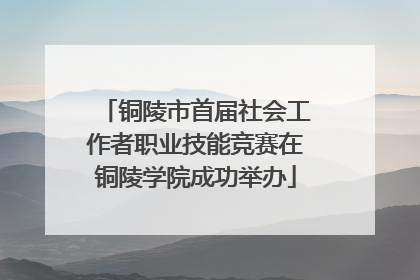 铜陵市首届社会工作者职业技能竞赛在铜陵学院成功举办