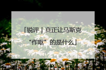 锐评｜真正让马斯克“作呕”的是什么