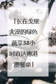 长在戈壁大漠的绿色蔬菜38小时直达粤港澳餐桌