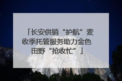 长安供销“护航”麦收季托管服务助力金色田野“抢收忙”