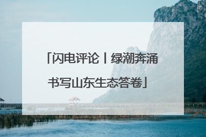闪电评论丨绿潮奔涌 书写山东生态答卷