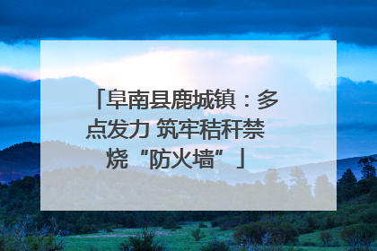 阜南县鹿城镇：多点发力 筑牢秸秆禁烧“防火墙”