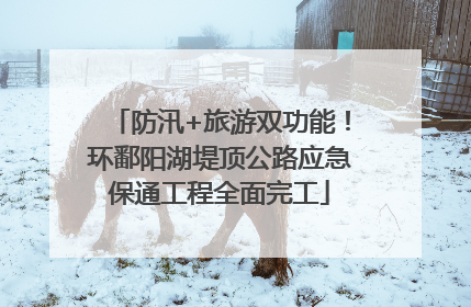 防汛+旅游双功能！环鄱阳湖堤顶公路应急保通工程全面完工