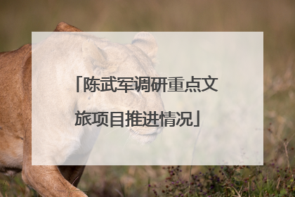 陈武军调研重点文旅项目推进情况