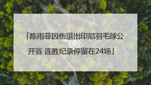 陈雨菲因伤退出印尼羽毛球公开赛 连胜纪录停留在24场