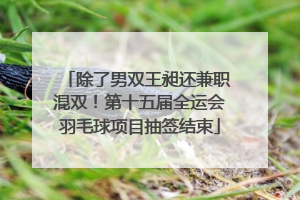 除了男双王昶还兼职混双！第十五届全运会羽毛球项目抽签结束