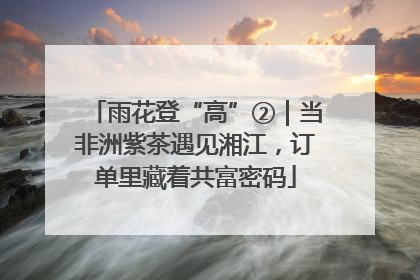 雨花登“高”②｜当非洲紫茶遇见湘江，订单里藏着共富密码