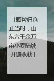 颗粒归仓正当时，山东六千余万亩小麦陆续开镰收获