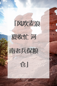 风吹麦浪夏收忙 河南老兵保粮仓