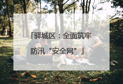 驿城区：全面筑牢防汛“安全网”