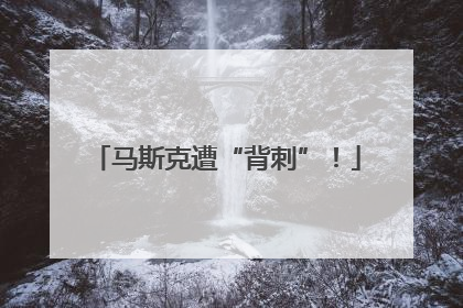 马斯克遭“背刺”！