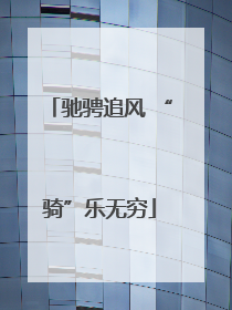 驰骋追风 “骑”乐无穷