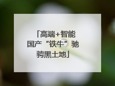 高端+智能 国产“铁牛”驰骋黑土地