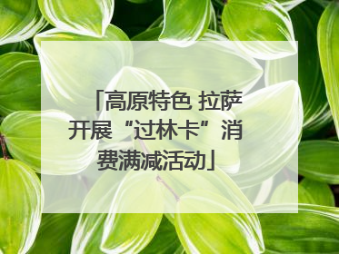高原特色 拉萨开展“过林卡”消费满减活动