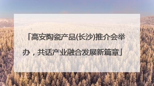 高安陶瓷产品(长沙)推介会举办，共话产业融合发展新篇章
