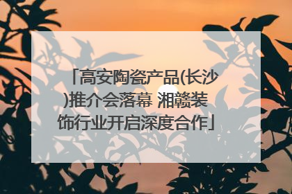 高安陶瓷产品(长沙)推介会落幕 湘赣装饰行业开启深度合作