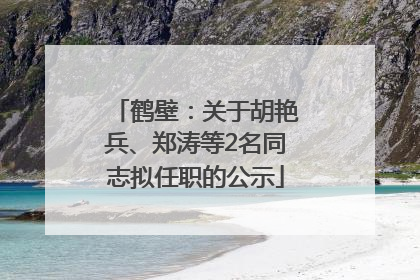 鹤壁：关于胡艳兵、郑涛等2名同志拟任职的公示