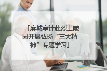 麻城审计赴烈士陵园开展弘扬“三大精神”专题学习