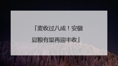 麦收过八成！安徽夏粮有望再迎丰收