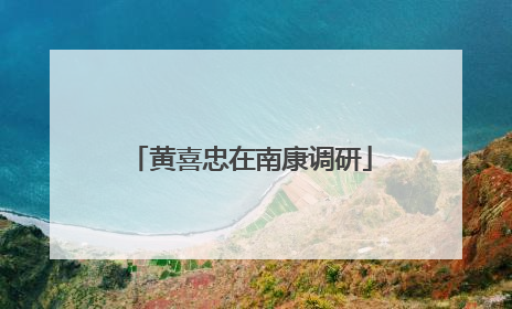黄喜忠在南康调研