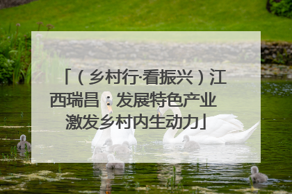 （乡村行·看振兴）江西瑞昌：发展特色产业 激发乡村内生动力
