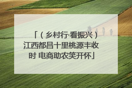 （乡村行·看振兴）江西都昌十里桃源丰收时 电商助农笑开怀