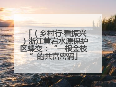 （乡村行·看振兴）浙江黄岩水源保护区蝶变：“一根金枝”的共富密码