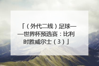 （外代二线）足球——世界杯预选赛：比利时胜威尔士（3）