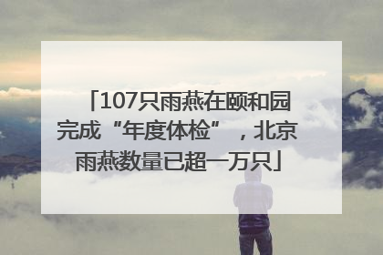 107只雨燕在颐和园完成“年度体检”，北京雨燕数量已超一万只