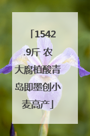 1542.9斤 农大腐植酸青岛即墨创小麦高产