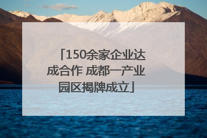 150余家企业达成合作 成都一产业园区揭牌成立